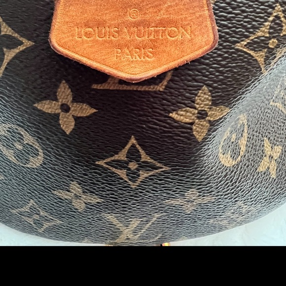 Louis Vuitton Bum Bag - Picture 2 of 8